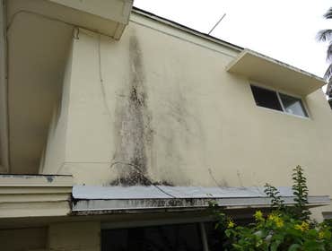 Photos by Aqua Dry Restoration #1