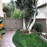 Tom Sawyer Fence Painting