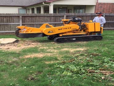Photos from South Texas Tree of Life Tree S.Tx Tree of Life Tree Service