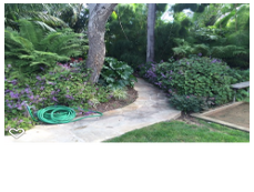 Photos by Foothill Nursery & Landscape Inc #1