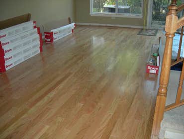 Photos from Dino Santangelo Inc