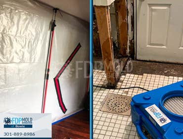 Photos by Fdp Mold Remediation of Bowie #2