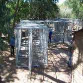 Nm Bear watch 9-23-11