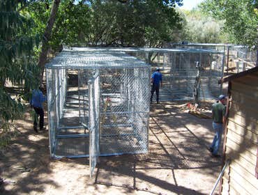 Nm Bear watch 9-23-11