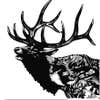 Elk Mountain Construction logo