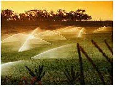 Machado's Landscape Construction We offer a variety of services from planning and design to installation and maintenance which are oriented to the nee