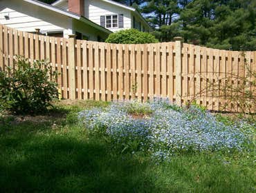 Cedar
