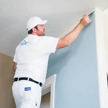 Painter1 of Carmel/fishers