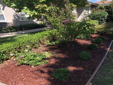Photos by Jose Luis Landscaping #7