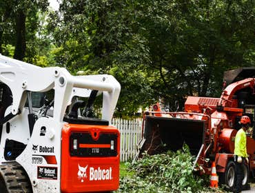 Photos by Danilo's Professional Tree Service & Landscaping #2