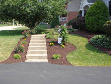 landscape spring clean up & up
