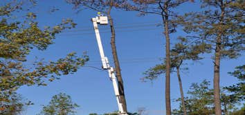 Photos by Burlington Tree Care & Removal Service #1