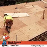 Red Dog's Roofing LLC