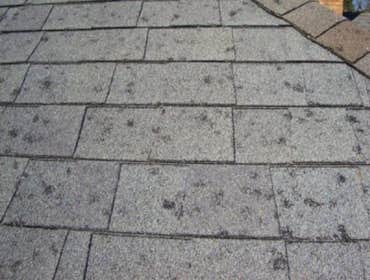 Photos by Quality Brothers Construction #1