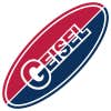 Geisel Mechanical Services logo