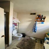 Alfa & Omega Construction and Remodeling Inc