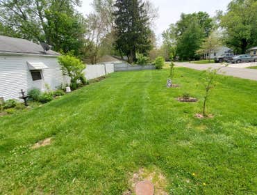 Photos by Junior Landscaping #1