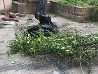 Demolition and Clean out - random photos