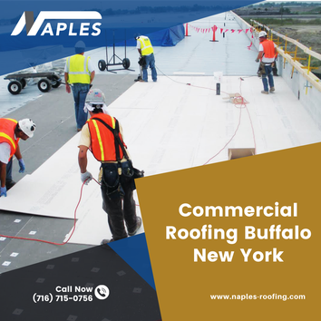 Naples Roofing, Inc