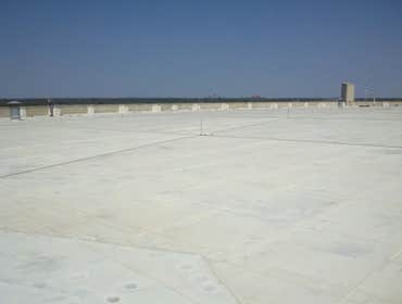 Shingle ply roofing