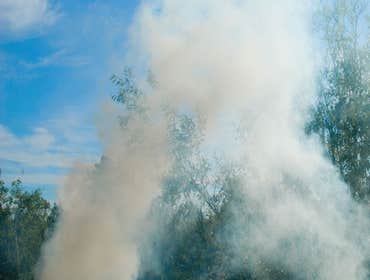 Photos by Fourth Gate Smoke Damage Experts #1