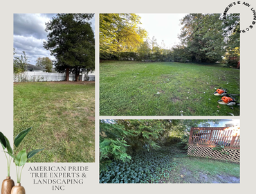 Photos by American Pride Tree Experts & Landscaping Inc #63
