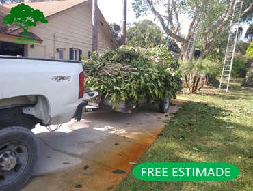 Photos by Acosta Tree Service Inc #10