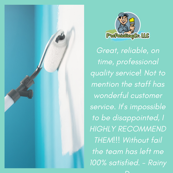 Pro Painting Co Llc