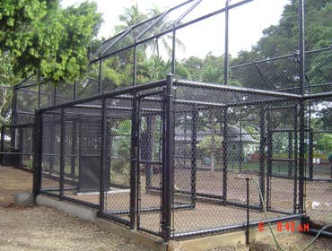 Fences