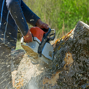 Photos by Cream City Tree Service #1