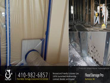 Mold Remediation