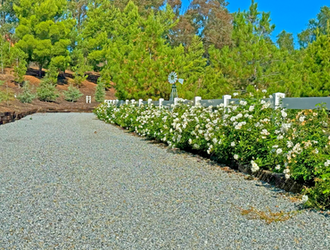 Photos by Mullaney Landscape #1