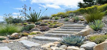 Photos by Smith Landscape #1