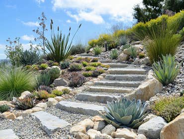 Photos by Smith Landscape #1