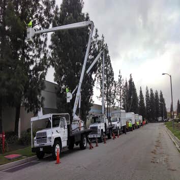 Tree Pros Inc