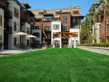 Photo(s) from New West Landscape Management Inc