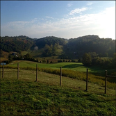 Other Fences