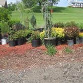 Photos by JJ Landscaping LLC #1