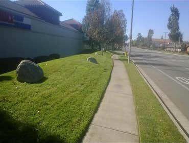 Photo(s) from All Green Maintenance