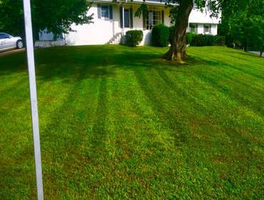 Photos by Don Cele Landscaping #1