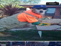 Photo(s) from Get It Done Construction, L.L.C