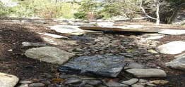 Photos by Wellnesscapes Design #1
