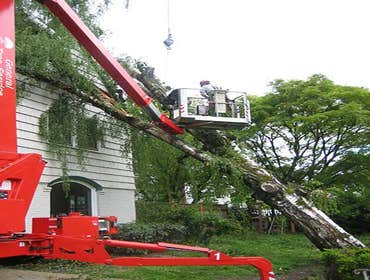 Photos from General Tree Service