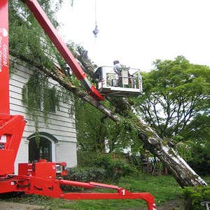 Photos from General Tree Service