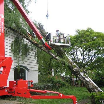 Photos from General Tree Service