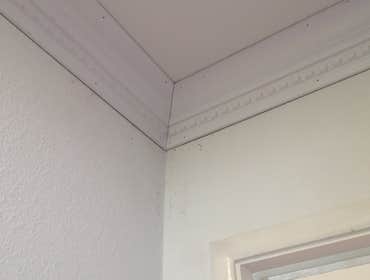 Photos from R G Quality Trim & Construction