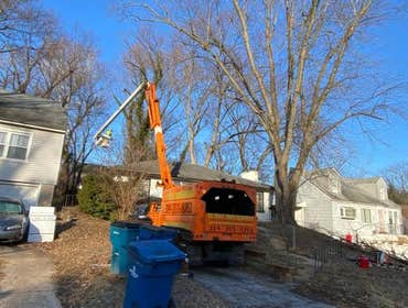 Photos by El Tule Tree Services LLC #20