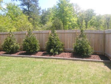 Photos by Easy Green Landscaping & Design #1