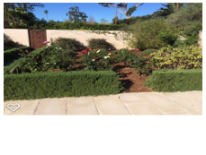 Photos by Foothill Nursery & Landscape Inc #1