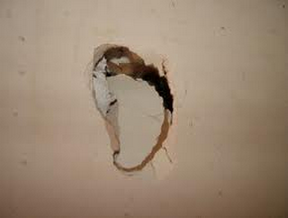 sheetrock